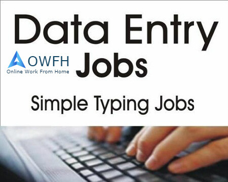 data-entry-work-from-home-image